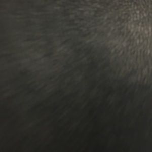 Meet your Posher, Jodee